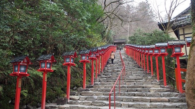 京都市リユース食器助成金 コレクション